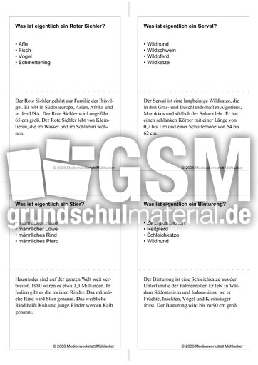 Quiz-Karten-Tiernamen 43.pdf